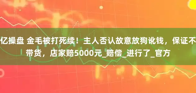 亿操盘 金毛被打死续！主人否认故意放狗讹钱，保证不带货，店家赔5000元_赔偿_进行了_官方