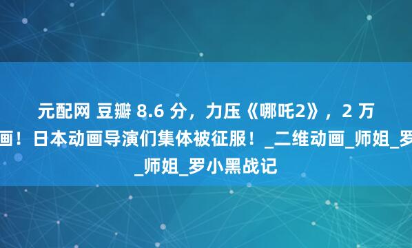 元配网 豆瓣 8.6 分，力压《哪吒2》，2 万张手绘原画！日本动画导演们集体被征服！_二维动画_师姐_罗小黑战记