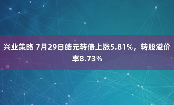 兴业策略 7月29日皓元转债上涨5.81%，转股溢价率8.73%