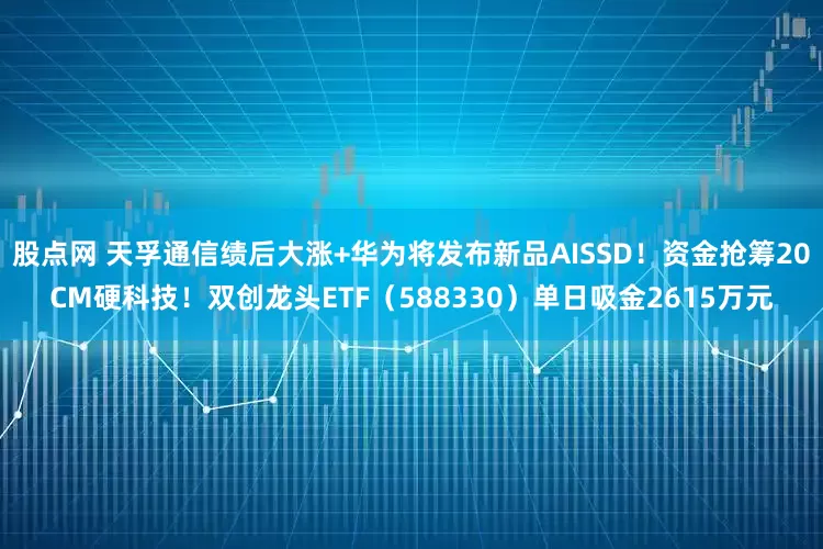 股点网 天孚通信绩后大涨+华为将发布新品AISSD！资金抢筹20CM硬科技！双创龙头ETF（588330）单日吸金2615万元