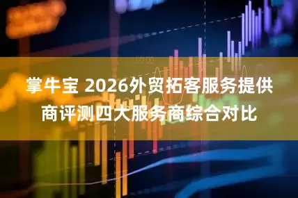 掌牛宝 2026外贸拓客服务提供商评测四大服务商综合对比